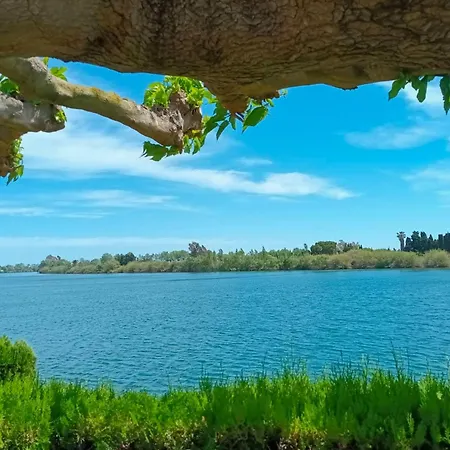 Appartamento Delta Del Ebro, A 10 Min De Playas, Naturaleza, Parking Gratuito, Hasta 4 Huéspedes *